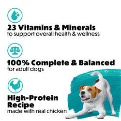 Protein rich recipes