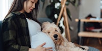 Mujer embarazada y su perro