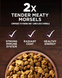 purina one beef & bison tender morsels