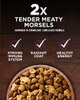 purina one beef & bison tender morsels