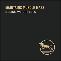 Maintains muscle mass during weight loss