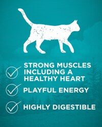 strong muscles, playful energy, highly digestible