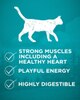 strong muscles, playful energy, highly digestible