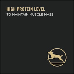 high protein level to maintain muscled mass