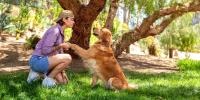 woman and dog playing