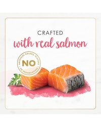 gourmet-naturals-real-salmon-pate-kittens