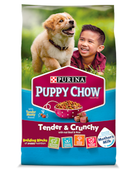 Tender and crunchy puppy chow dry puppy food