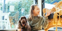 Teaching Kids to Care for Dogs & Cats