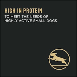high in protein to meet the needs of highly active small dogs