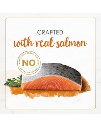 gourmet-naturals-real-salmon-pate