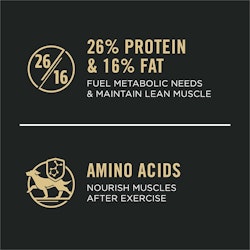 Fuel Metabolic Needs & Maintain Lean Muscle