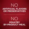 No Artificial Flavors or Preservatives
