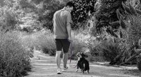 Man walking a dog