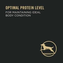 Nivel óptimo de proteínas para mantener un buen estado del organismo.