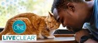 a man with his head on a cat