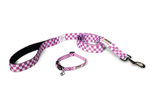 Purple leash and collar