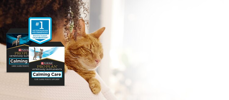 Calming Care