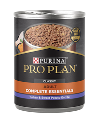 Alimento húmedo para perros con un clásico plato principal de pavo y batata, sin cereales Pro Plan Complete Essentials