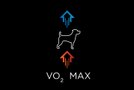 vo2