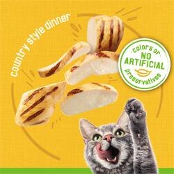 no artificial colors or preservatives