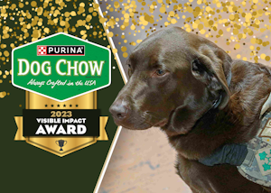 Service Dog Huey 2023 Visible Impact Award Winner