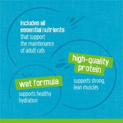 includes all essential nutrients that support the maintenance of adult cats