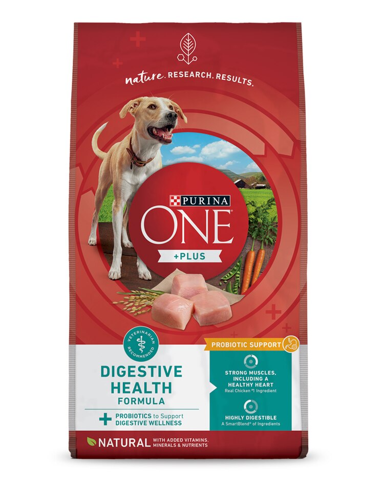 Purina ONE® +Plus Digestive Health Formula Dry Dog Food