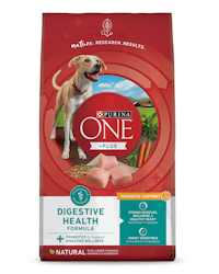 Purina ONE® +Plus Digestive Health Formula Dry Dog Food