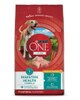 Purina ONE® +Plus Digestive Health Formula Dry Dog Food
