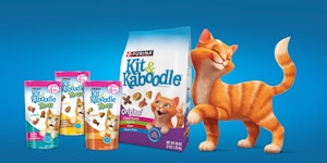 Kit & Kaboodle product packages and a smiling orange illustrated cat on a blue background.