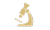 pro plan cat icon study