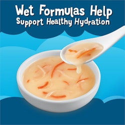 Wet Formulas Help Support Healthy Hydration