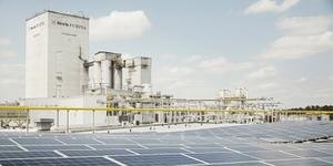 renewable factory