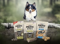 Dog with Prime products