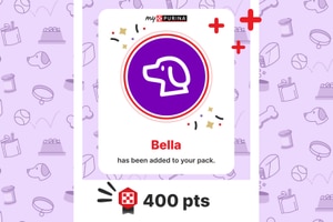 Earn 400 points when you create your first pet profile.