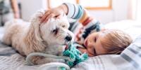 Niño acariciando un perro mientras ambos están recostados en una cama
