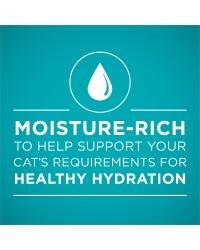 moisture rich