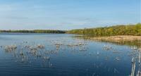 Living Lakes