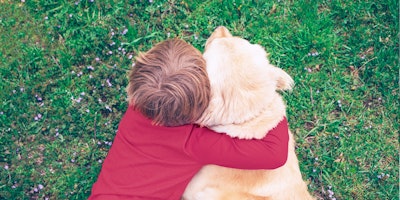 child hugs yellow dog in grassy field