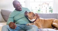 un hombre con un perro color café en un sillón