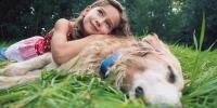 niño con golden retriever recostados en un campo