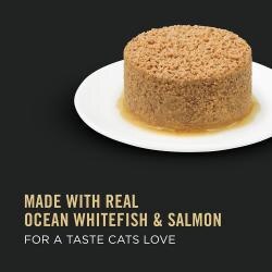 Hecho carne real de pescado blanco marino y salmón para un sabor que a los gatos les encanta