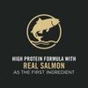 High protein formula with real salmon as the first ingredient