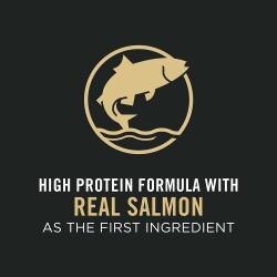 High protein formula with real salmon as the first ingredient