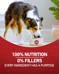 100 percent nutrition, 0 percent fillers, Every ingredient has a purpose
