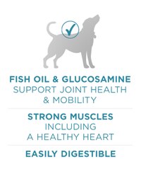 el aceite de pescado y la glucosamina contribuyen a la salud y movilidad de las articulaciones