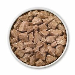 Dog food bowl