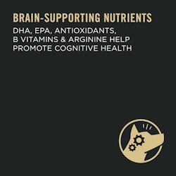 Brain-supporting nutrients DHA, EPA, antioxidants, B Vitamins & Arginine help promote cognitive health.