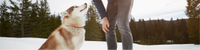 person outside in the snow with their dog