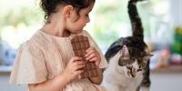 child eating chocolate bar with cat looking on
